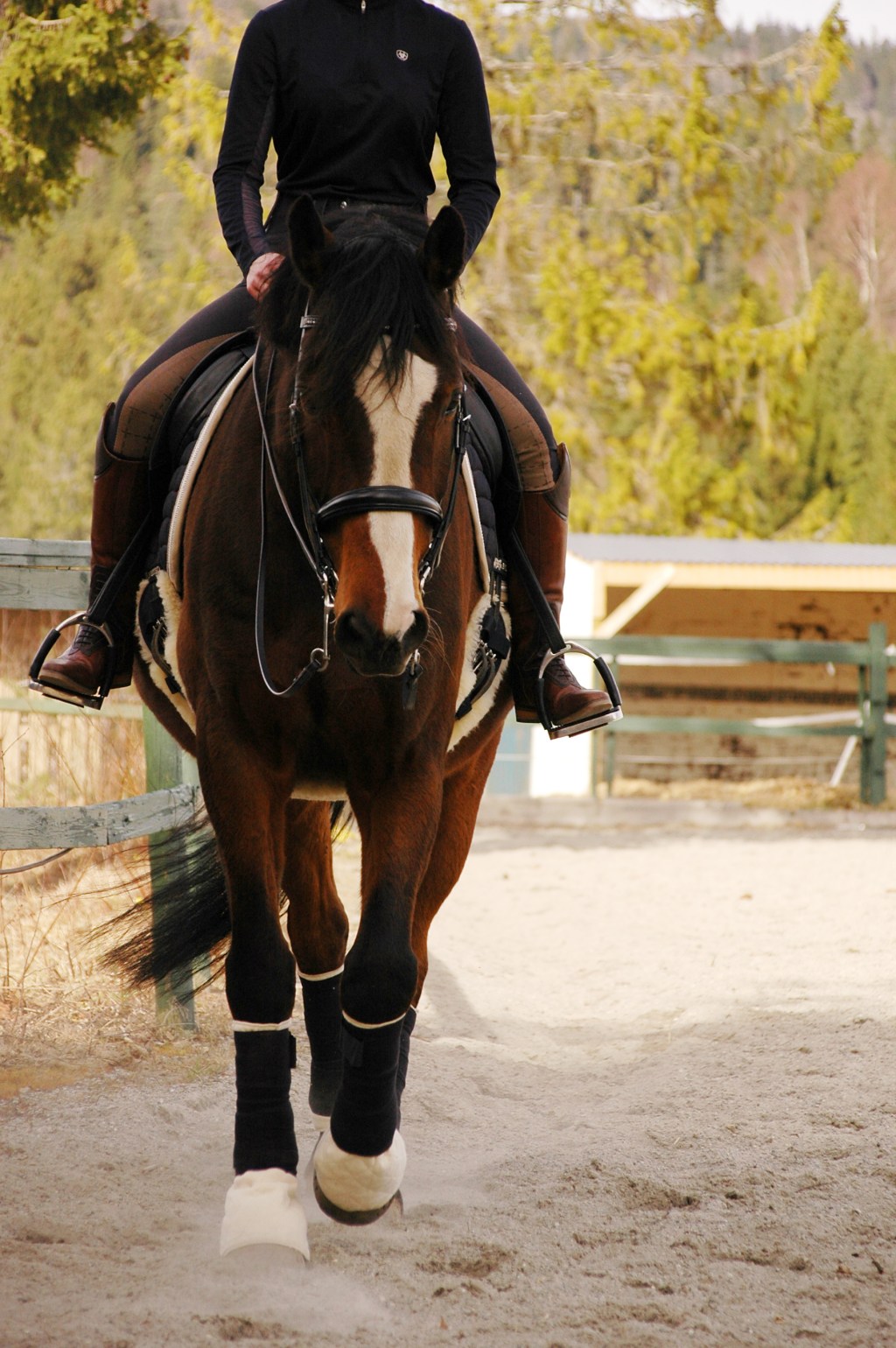 Throwback; spring ride