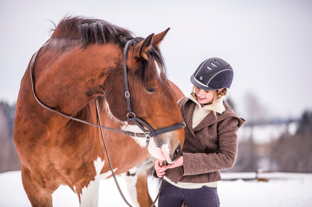 A beginners guide to leather crafting