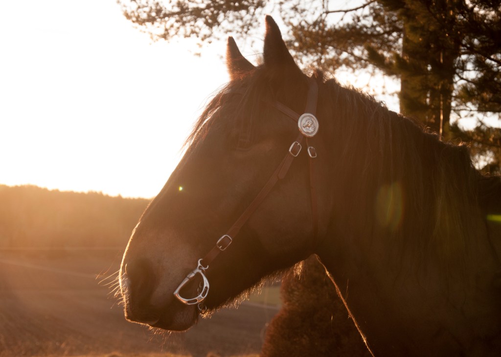 Throwback: March 2019