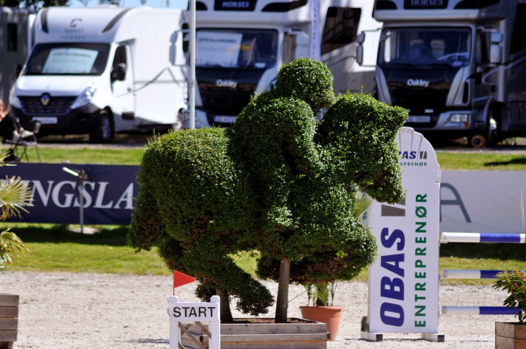 Dear pentathlon riders; a rant.