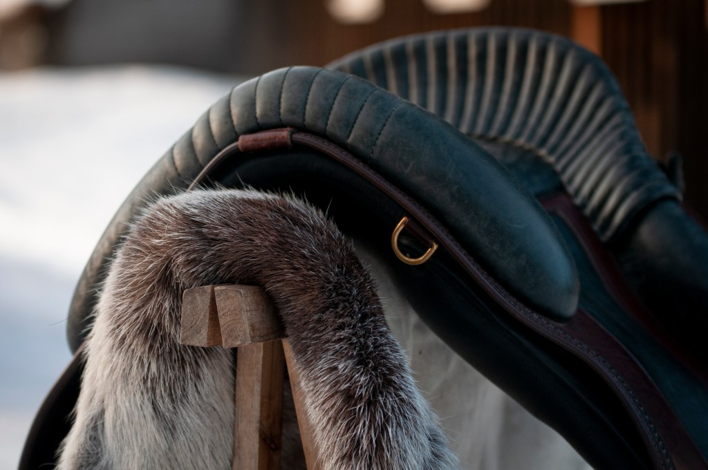 The reindeer saddle pad: FAQ